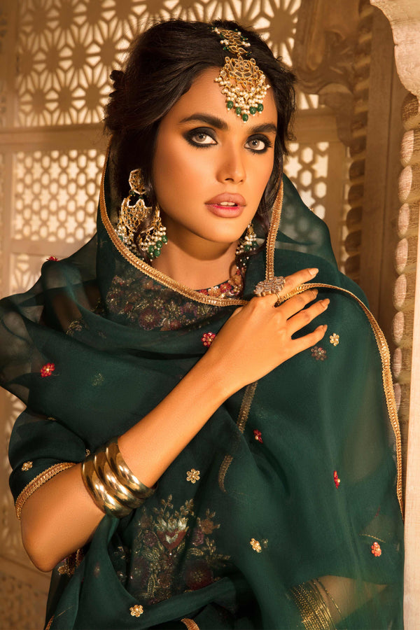 RAANI BAAGH II